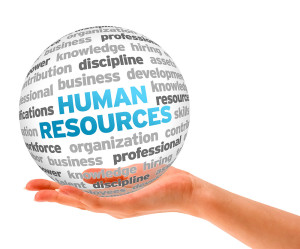 Nadebi Consult Human Resources